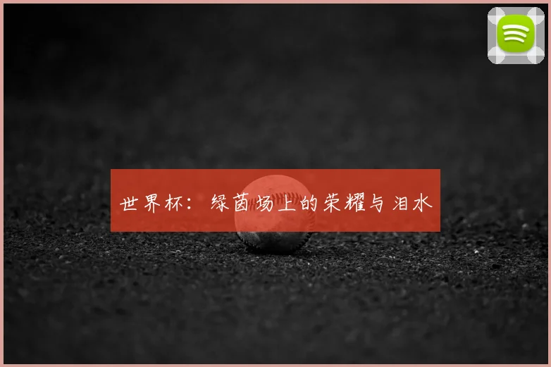 世界杯：绿茵场上的荣耀与泪水