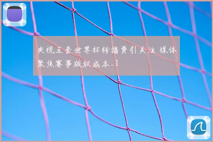央视五套世界杯转播费引关注 媒体聚焦赛事版权成本_1