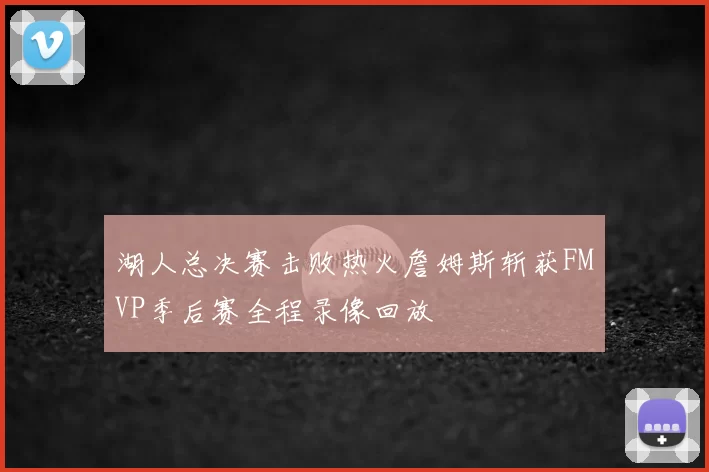 湖人总决赛击败热火詹姆斯斩获FMVP季后赛全程录像回放