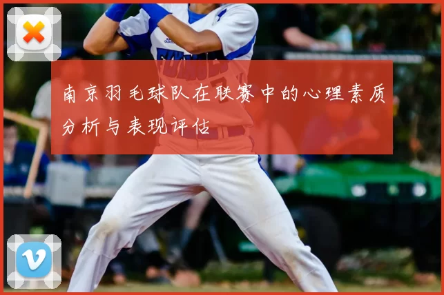南京羽毛球队在联赛中的心理素质分析与表现评估