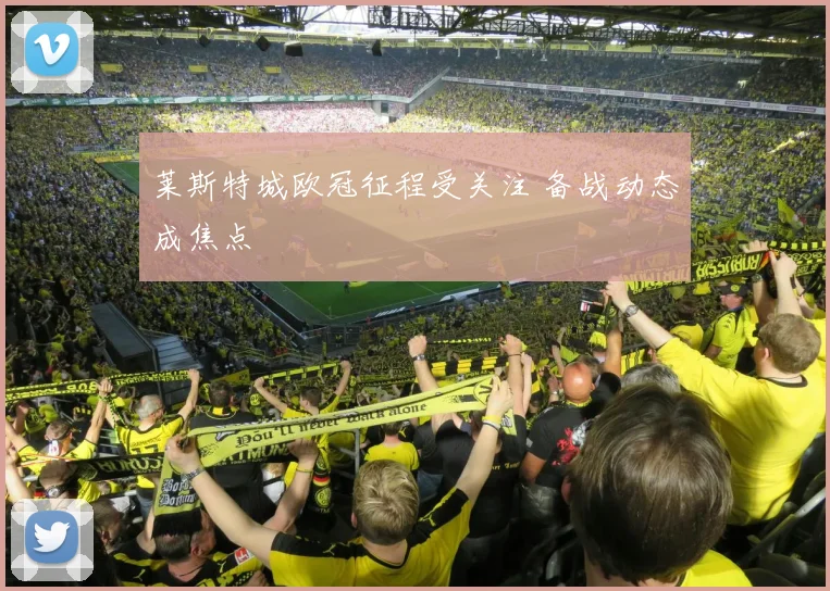 莱斯特城欧冠征程受关注 备战动态成焦点
