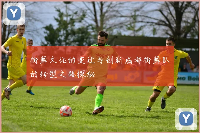 街舞文化的变迁与创新成都街舞队的转型之路探秘