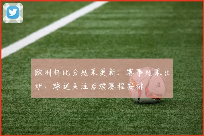 欧洲杯比分结果更新：赛事结果出炉，球迷关注后续赛程安排