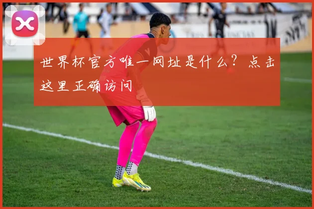 世界杯官方唯一网址是什么?点击这里正确访问