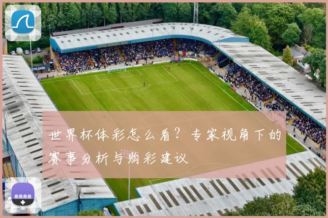 世界杯体彩怎么看？专家视角下的赛事分析与购彩建议