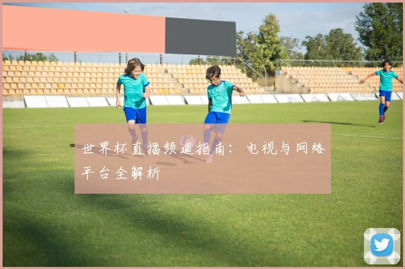 世界杯直播频道指南:电视与网络平台全解析