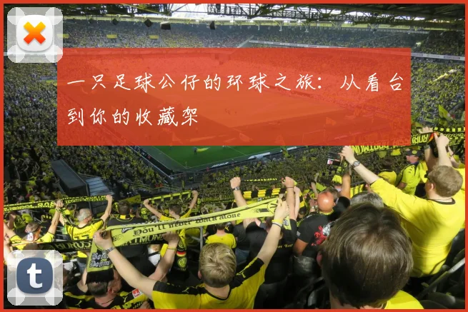 一只足球公仔的环球之旅:从看台到你的收藏架