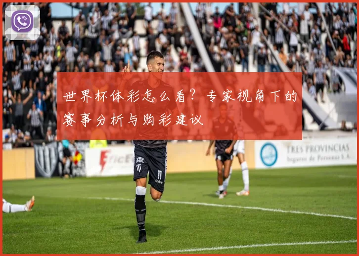 世界杯体彩怎么看？专家视角下的赛事分析与购彩建议