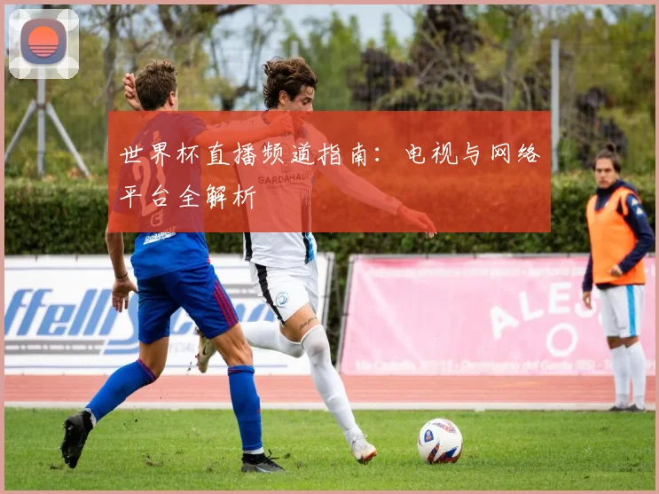 世界杯直播频道指南:电视与网络平台全解析